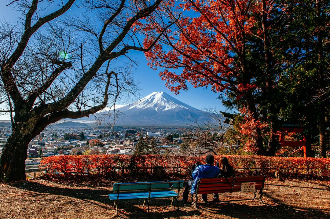 A couple sitting on a park bench under a brilliant red maple tree, admiring the iconic view of a snow-capped Mount Fuji in the distance.